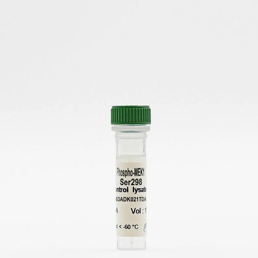 HTRF MEK1 Phospho-Ser298 control lysate image