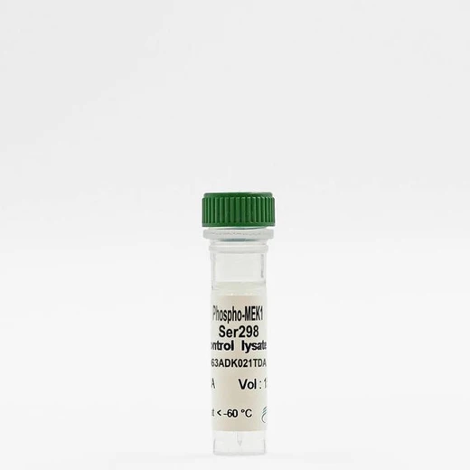 HTRF MEK1 Phospho-Ser298 control lysate image