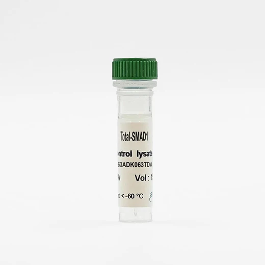 Total SMAD1 control lysate vial image