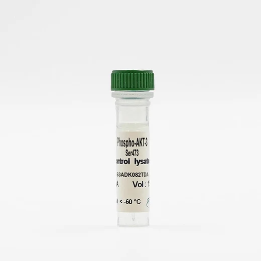 Phospho-AKT3 (Ser473) control lysate vial