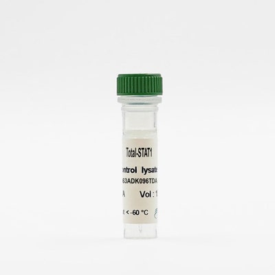 Total STAT1 control lysate vial image