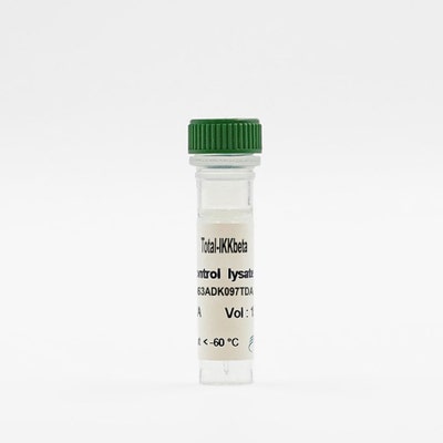 Total IKK beta control lysate vial image