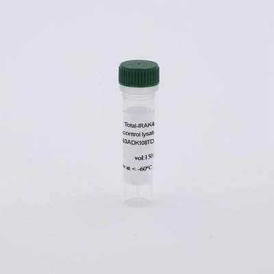 Total IRAK4 Control Lysate image