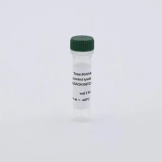 Total IRAK4 Control Lysate image