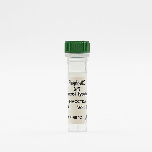 Phospho-ACC (Ser79) control lysate vial image