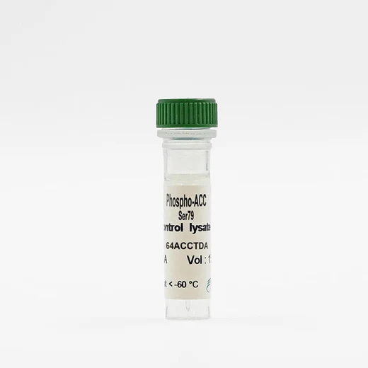 Phospho-ACC (Ser79) control lysate vial image