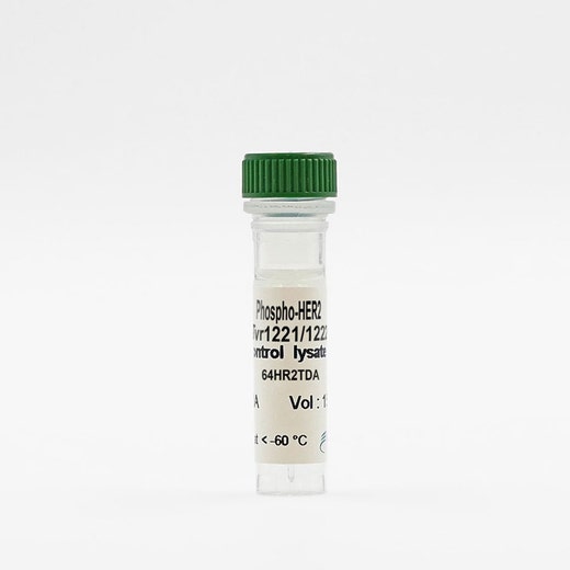 Phospho-HER2 (Tyr1221/1222) control lysate vial image