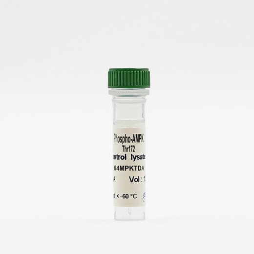 Phospho-AMPK (Thr172) control lysate vial image
