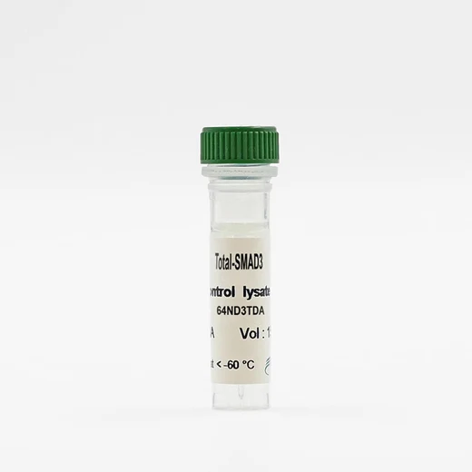 Total SMAD3 control lysate vial image