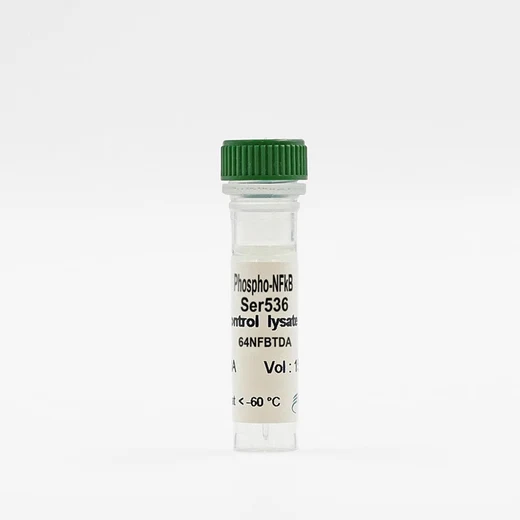 Phospho-ACC (Ser79) control lysate vial image