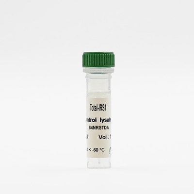 Total IRS1 control lysate vial image