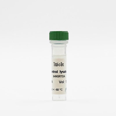 Total c-Src control lysate vial image
