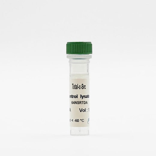 Total c-Src control lysate vial image