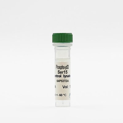 Phospho-p53 (Ser15) control lysate vial image