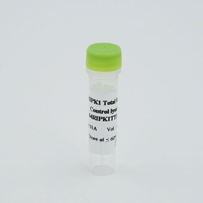 RIPK1 total control lysate image