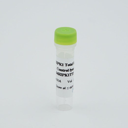 RIPK1 total control lysate image