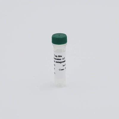 Adenosine A3R fluorescent probe image