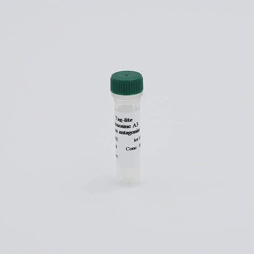 Adenosine A3R fluorescent probe image