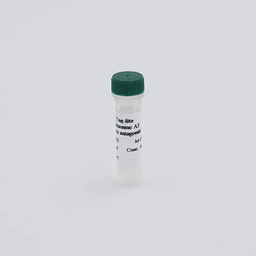 Adenosine A3R fluorescent probe image