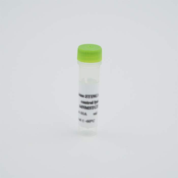 HTRF Human and Mouse TOM20 standard, 1 Vial | Revvity