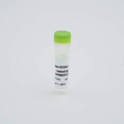 Vial of a control Lysate or Standard