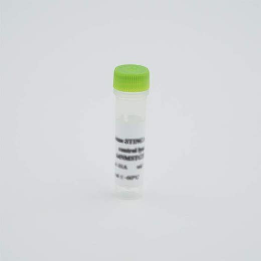 Vial of a control Lysate or Standard