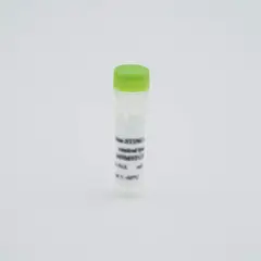 Vial of a control Lysate or Standard