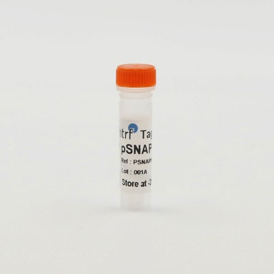 pSNAP-5HT1A 5-Hydroxytryptamine 1A image