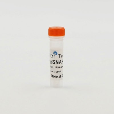 pSNAP-GIPR Glucagon receptor image