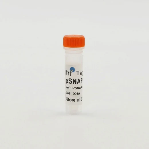 pSNAP-GLP1 Glucagon receptor image