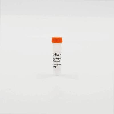 Tag-lite T8-CLIP (Hygromycin) plasmid image