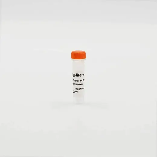 Tag-lite T8-CLIP (Hygromycin) plasmid image