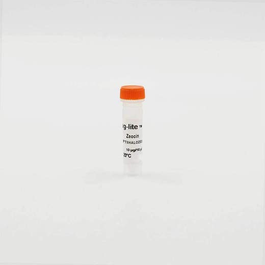 Tag-lite T8-HaloTag (Zeocin) plasmid image