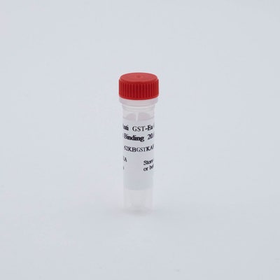 HTRF MAb Anti GST-Eu cryptate Kinase Binding image