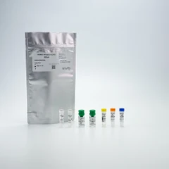 Picture of HTRF Human High Performance IL-2 Detection Kit