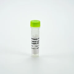 Picture of HTRF Human Androgen Receptor Full Length Control Lysate
