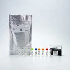 Picture of HTRF Human Androgen Receptor Variant 7 Detection Kit