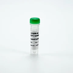 Picture of HTRF Human Ataxin 2 Mutant Control Lysate