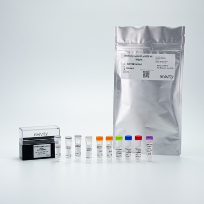 Picture of HTRF Human Phospho-Cyclin B1 (Ser126) Detection Kit