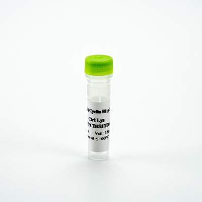 Picture of HTRF Human Phospho-Cyclin B1 (Ser126) Control Lysate