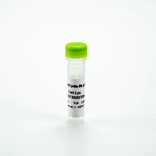 Picture of HTRF Human Phospho-Cyclin B1 (Ser126) Control Lysate