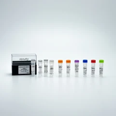 Picture of HTRF Human Total Cyclin B1 Detection Kit