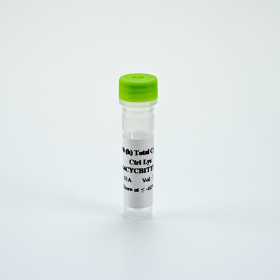 Picture of HTRF Human Total Cyclin B1 Control Lysate