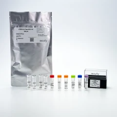 Picture of HTRF Human Total IDO1 Detection Kit