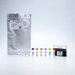 Picture of HTRF Human and Mouse Total IKZF1 Detection Kit