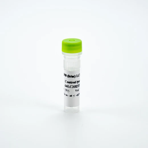Picture of HTRF Human and Mouse LC3B-II Control Lysate