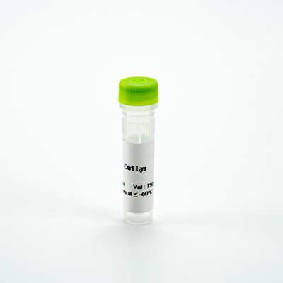 Picture of HTRF Human Total VAV1 Control Lysate