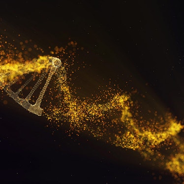 pin-point base editing platform hero