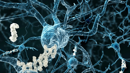 potential-insights512