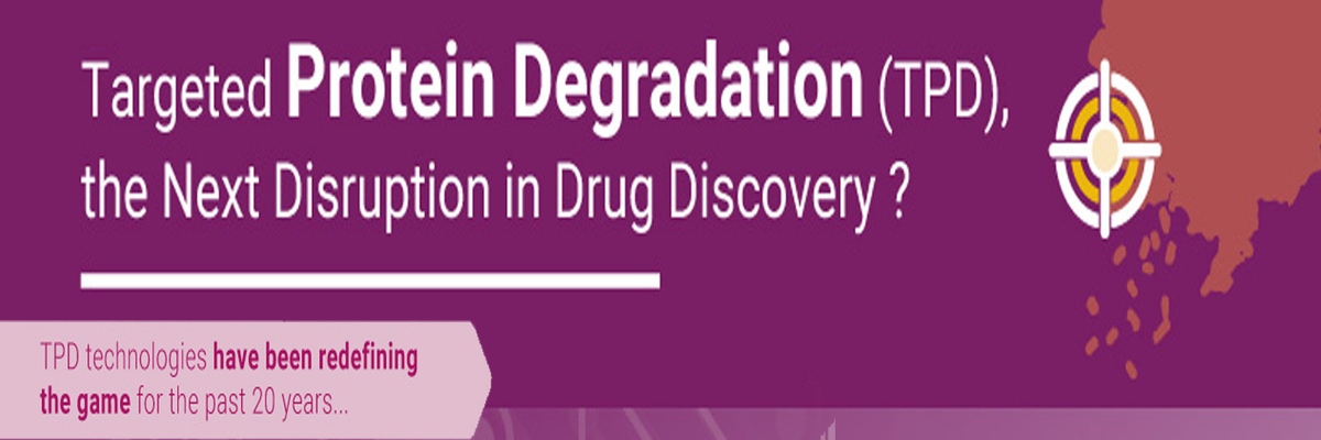 protein-degradation-1920x400.jpg